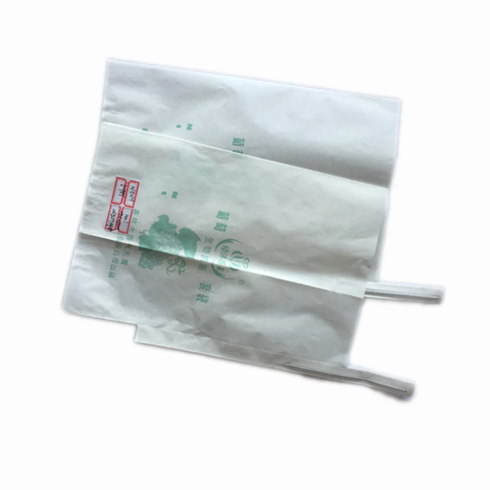 Packaging Logo Printed Grape Protection Fresh Fruit Mango Paper Bag