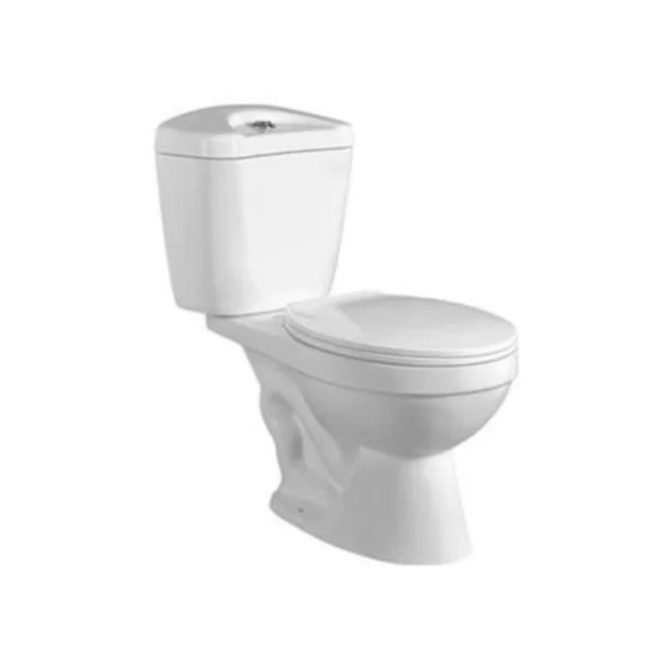 Cheapest South America Siphon Flush Toilet Bowl OEM Ceramic Two Piece Inodoro Sanitary WC