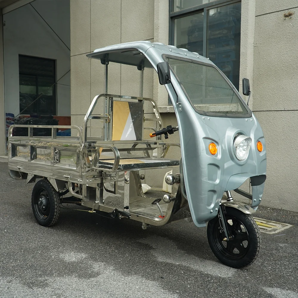 3 Wheel Electric Tricycle Enclosed Electric Tricycle Stainless Steel