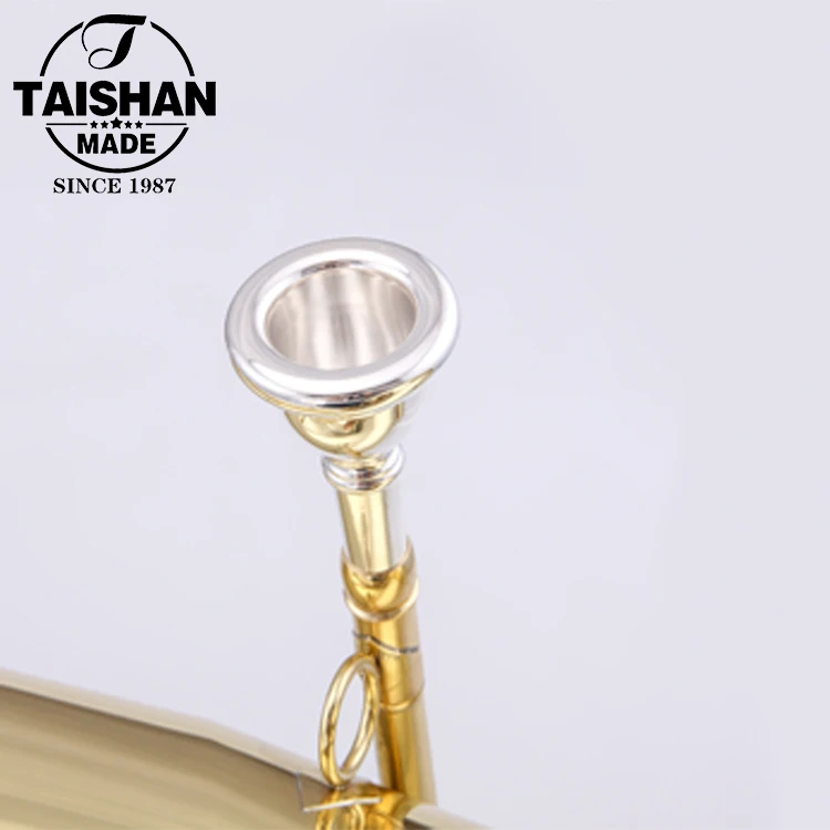 Bb Tone Gold Lacquer Tuba with 2 Mouthpieces
