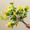 Effetto giallo dell'immagine 3