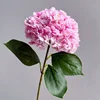 4# Rosa oscuro