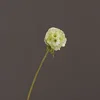 Bianco e verde