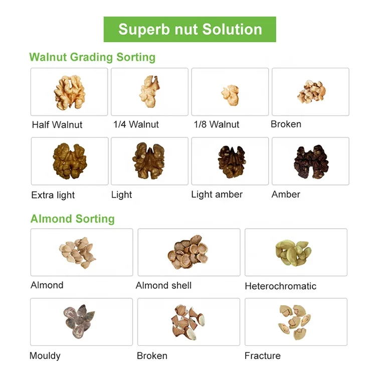 Macadamia Nut Sorting and Separator Machine Processing Equipment for Flour Mill with Soybean Corn Wheat As Raw Materials