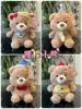 Warm brown bear