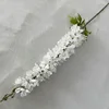 Blanc, Makalow, hirondelle volante unique