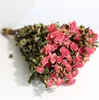 Rose-3