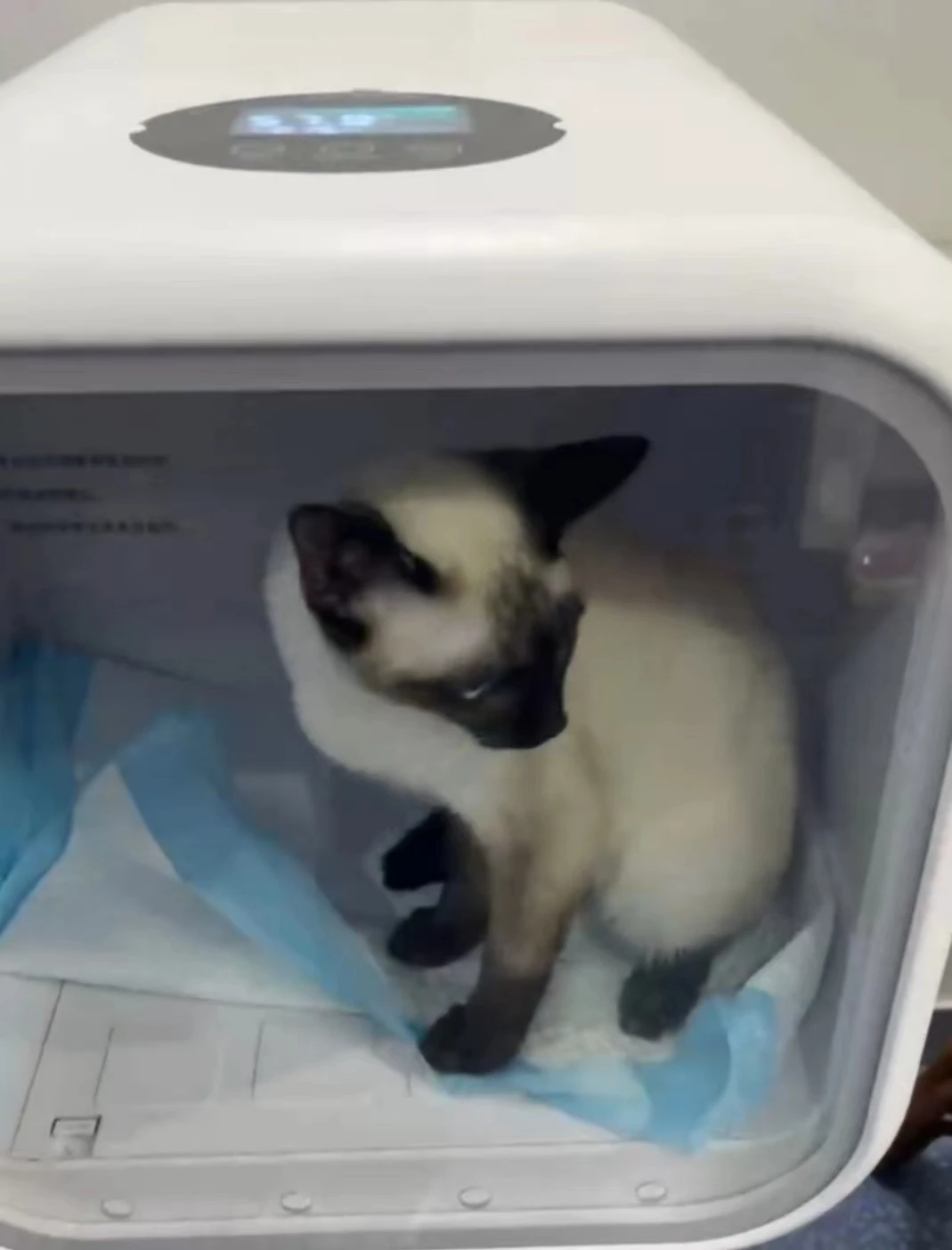 Oxygen Concentrator for Pets - Stable Oxygen Generation & Atomization ...