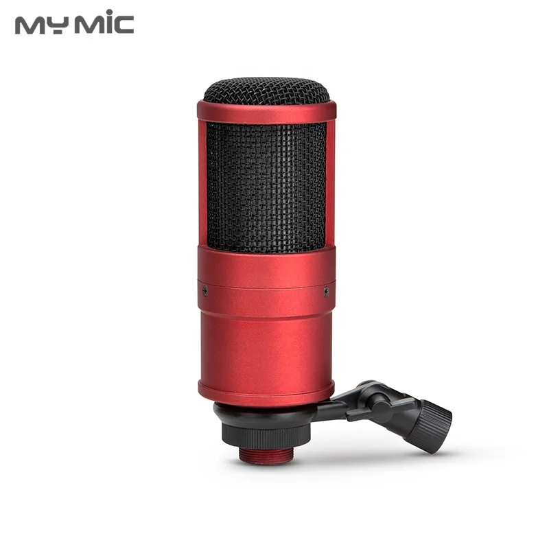 New Model PR200 Professional Wired Computer PC Studio Microphone Condenser Recording for Singing Room Broadcasting YouTube