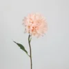Dahlia élégant (rose champagne)