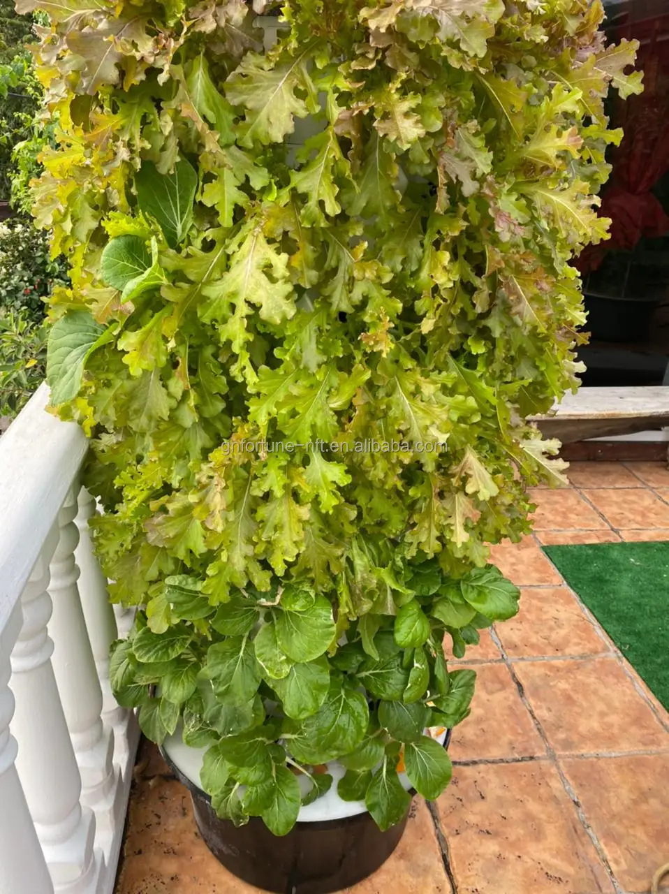 tower hydroponic