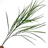 Reeds (light color)