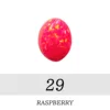 29 Raspberry
