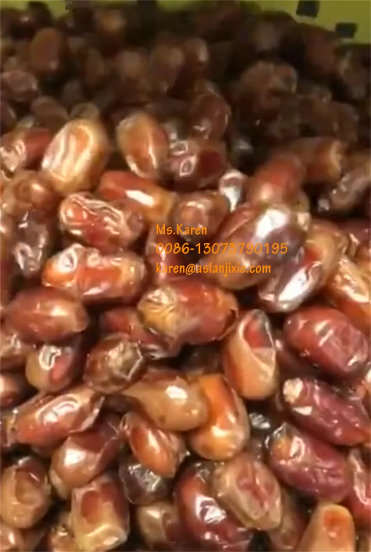 High Performance Dates Polishing Cleaning Machine Palm Dates ...