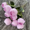 Light Purple 11