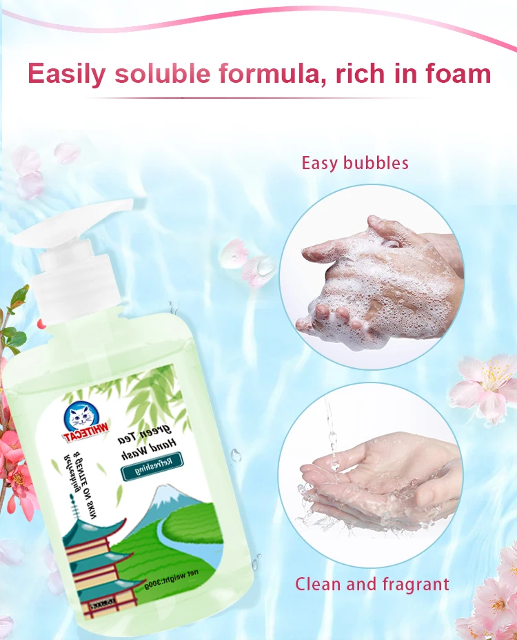 ODM OEM 500ml custom wholesale bulk liquid 500ml anti bacterial hand soap bulk luxury hand soap wash liquid hand wash details