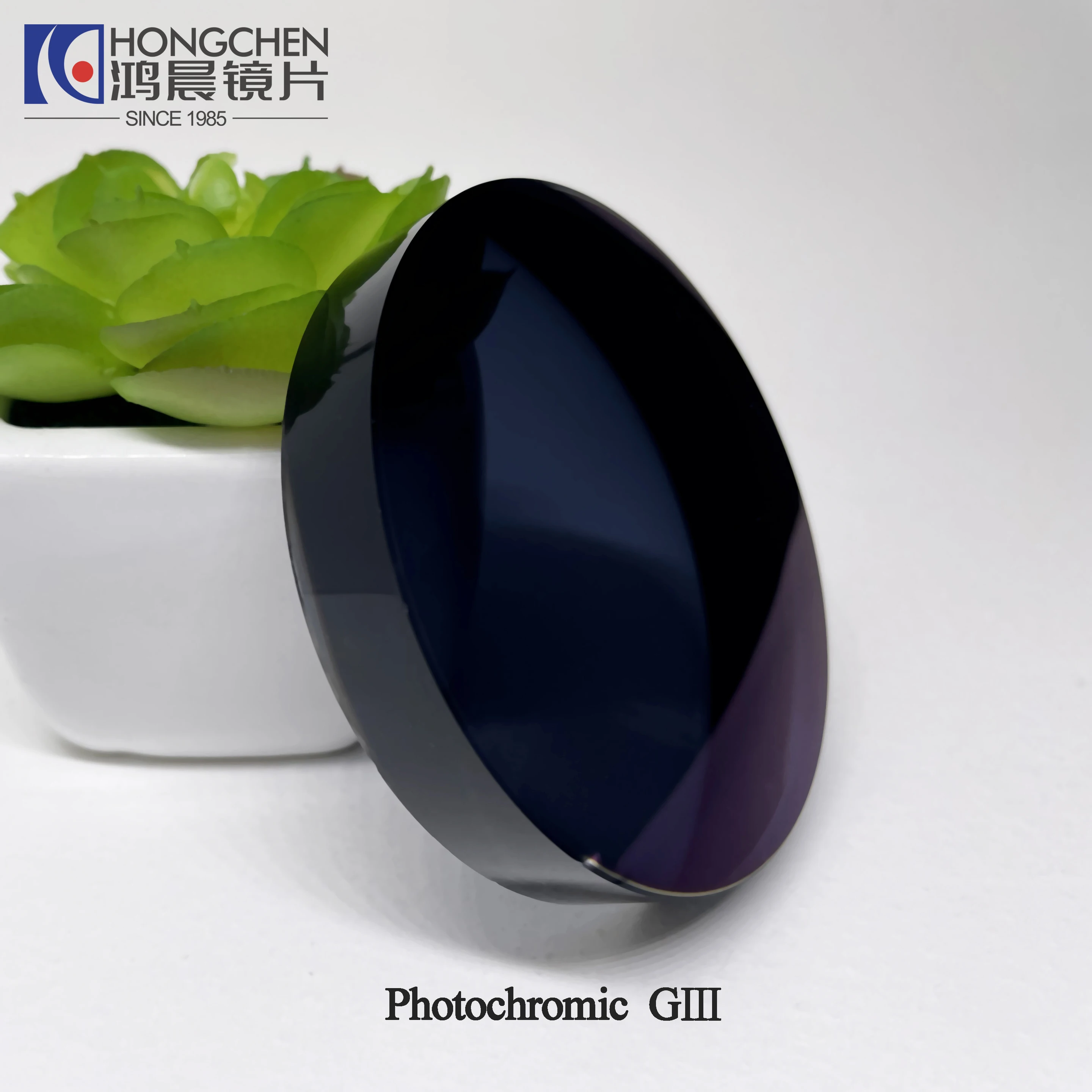 Optical Cheap Clear Eyeglasses Lens 1.56 Green Coating Photochromic Single Vision Optical Lens