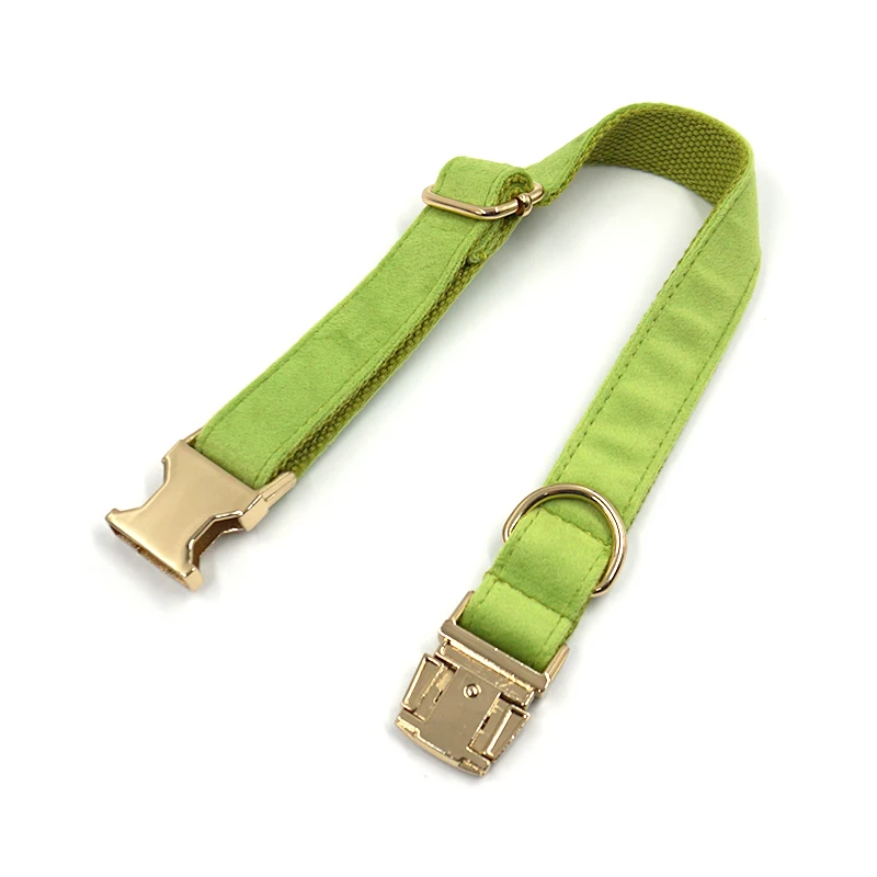 dog collar leash 1.jpg