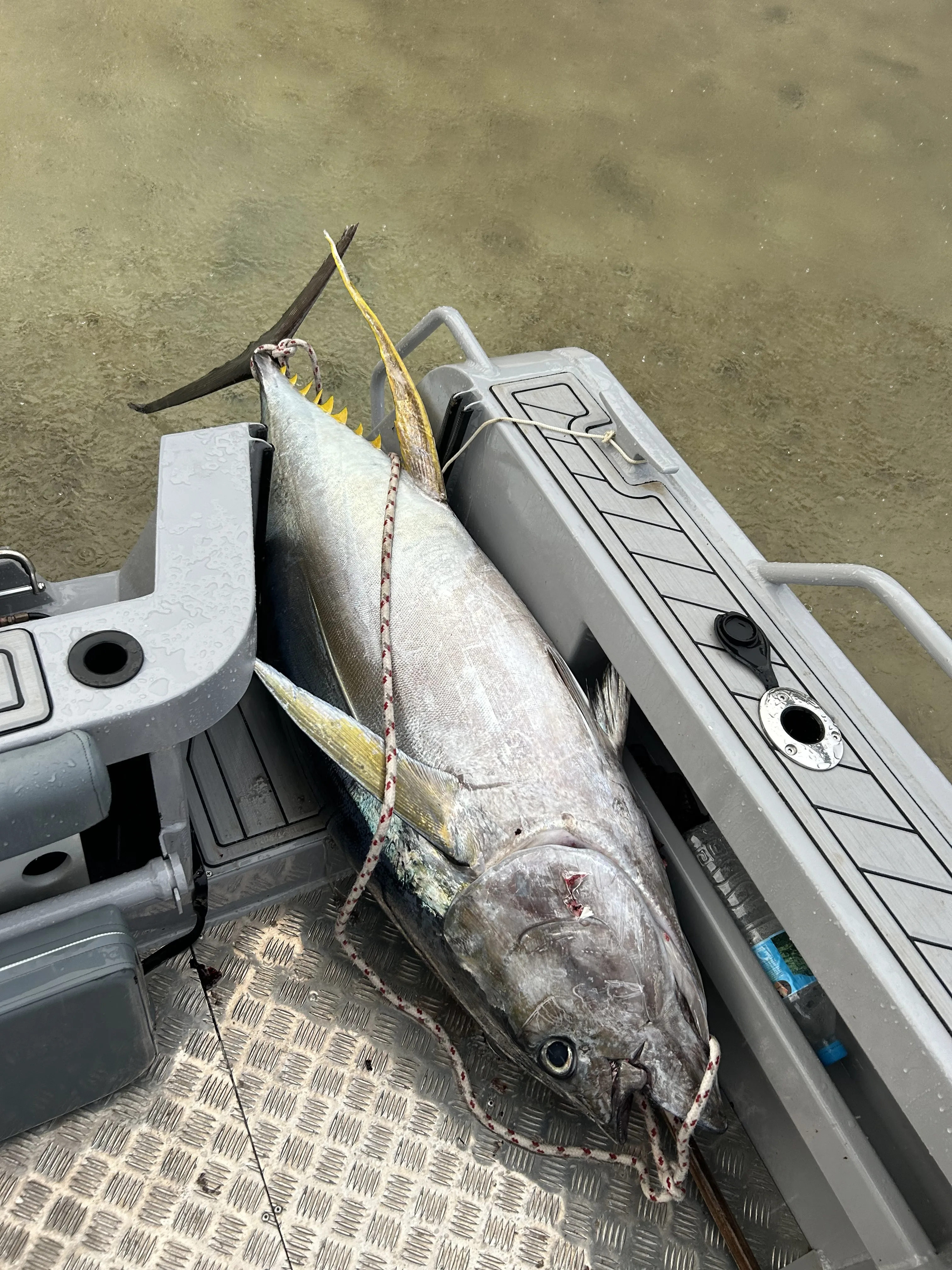 2023 Hotselling 5.8m All Welded Aluminum Bay Boat Fishing Boat With Ce