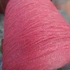 rosa rosa