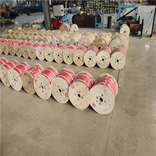 wire rope (44)