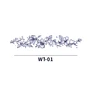 WT-001