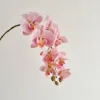 สีชมพู