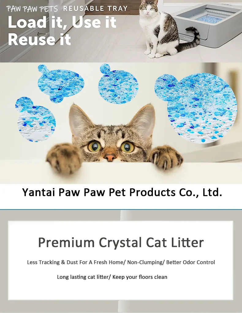 Crystal Cat Litter Deodorization Bulk Pet Adsorption Deodorization