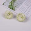 White one flower