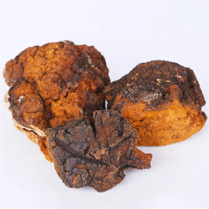 chaga mushroom (3).png