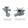 Modulating Electric Actuator