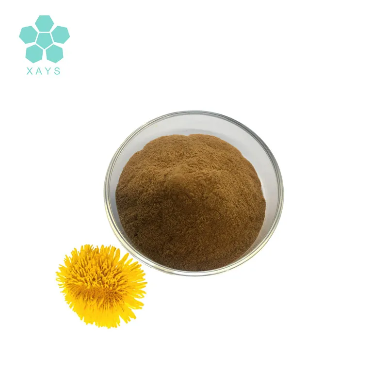 COA Concentrate Dandelion Root Extract Powder