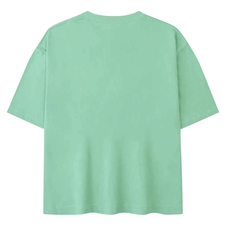 Trgovina na debelo s kratkimi rokavi in ​​okroglim izrezom, moška prazna majica s kratkimi rokavi, 100 % bombažna enobarvna majica s kratkimi rokavi po meri 250_voghion.com