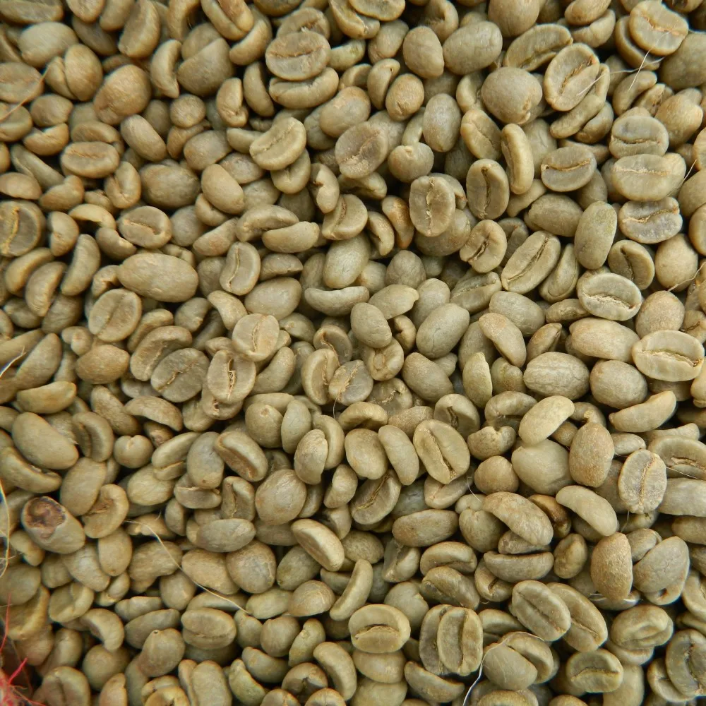 coffee bean 7.jpg