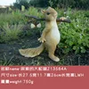 The Exploring Squirrel