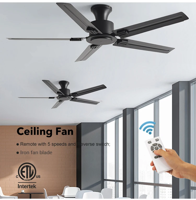 Ceiling Fan, 110-220V, 35 W - detail 6