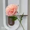 ดอกโบตั๋นเดี่ยว