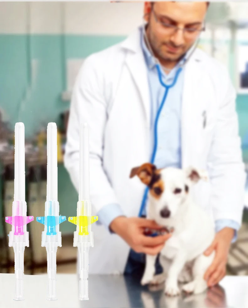 Disposable Sterile Intravenous 22g 24g 26g Veterinary Needle Vet Iv