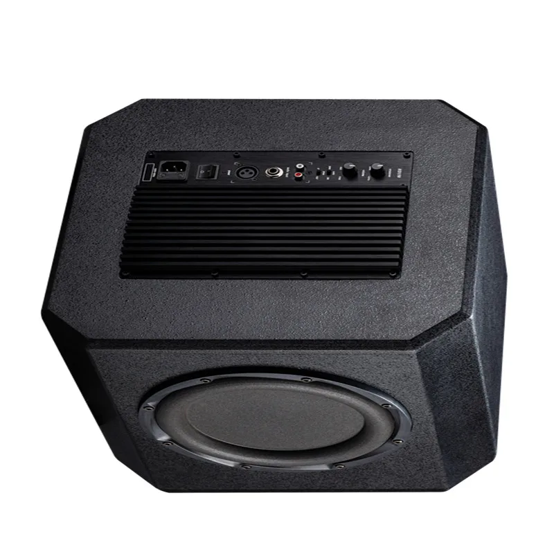 Professional 12-Inch Active DJ Speaker Outdoor Powered Subwoofer With  Active Bass Receiver Amplifier 300W Peak Power