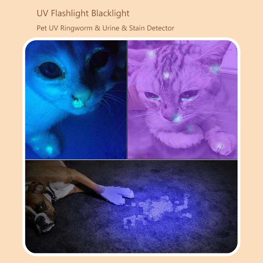 Light Up Dog Ball Glow In The Dark Rubber Dogs Fetch Toy Balls Come