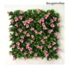 Bougainvillea Pink