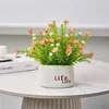 Bassin de vie en plastique avec gypsophile, orange