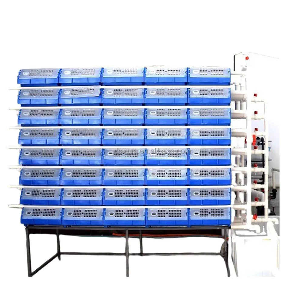 Mud Crab House Philippines Vertical Farming Cost Crab Farm System Crab Boxes Ras System