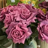Grigio viola