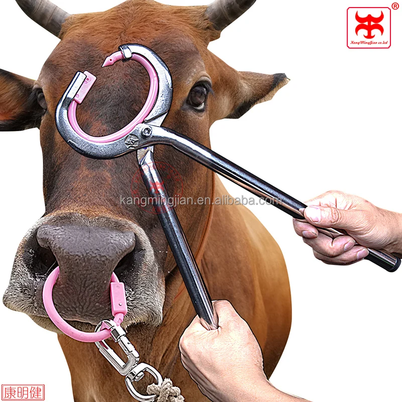 Nose ring hot sale leash