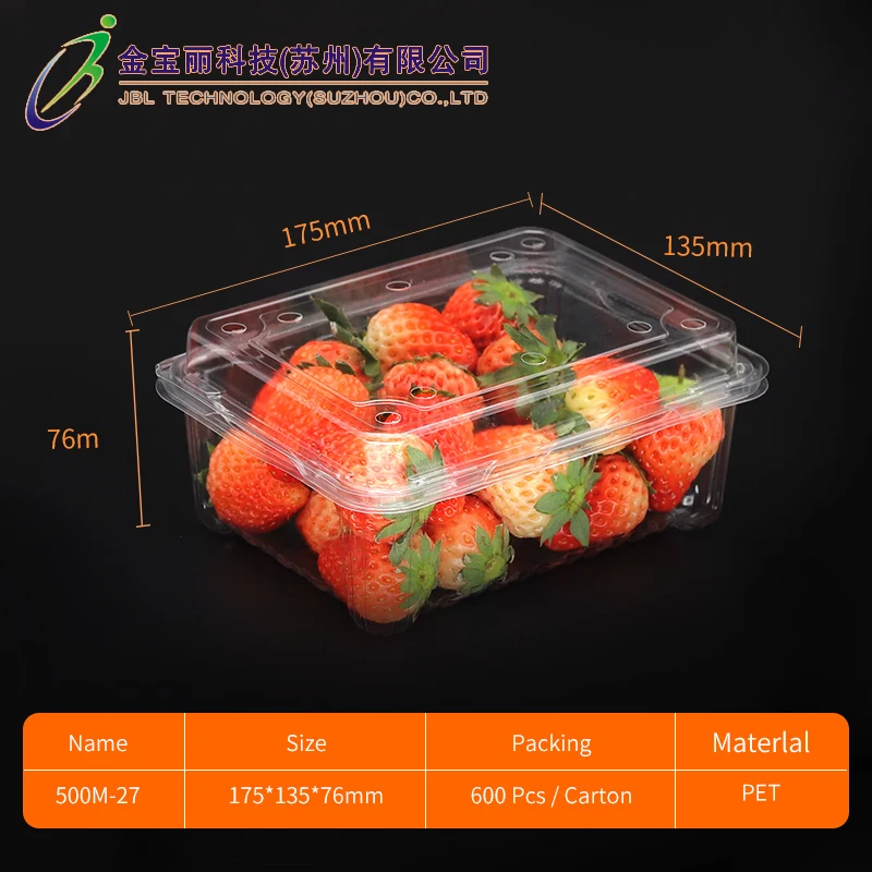 Custom Clear PET Food Containers - Perfect for Fruits & Sushi