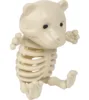White-Bear