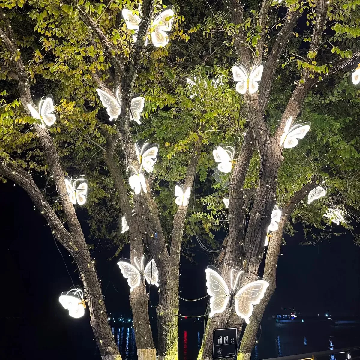 outdoor butterfly light