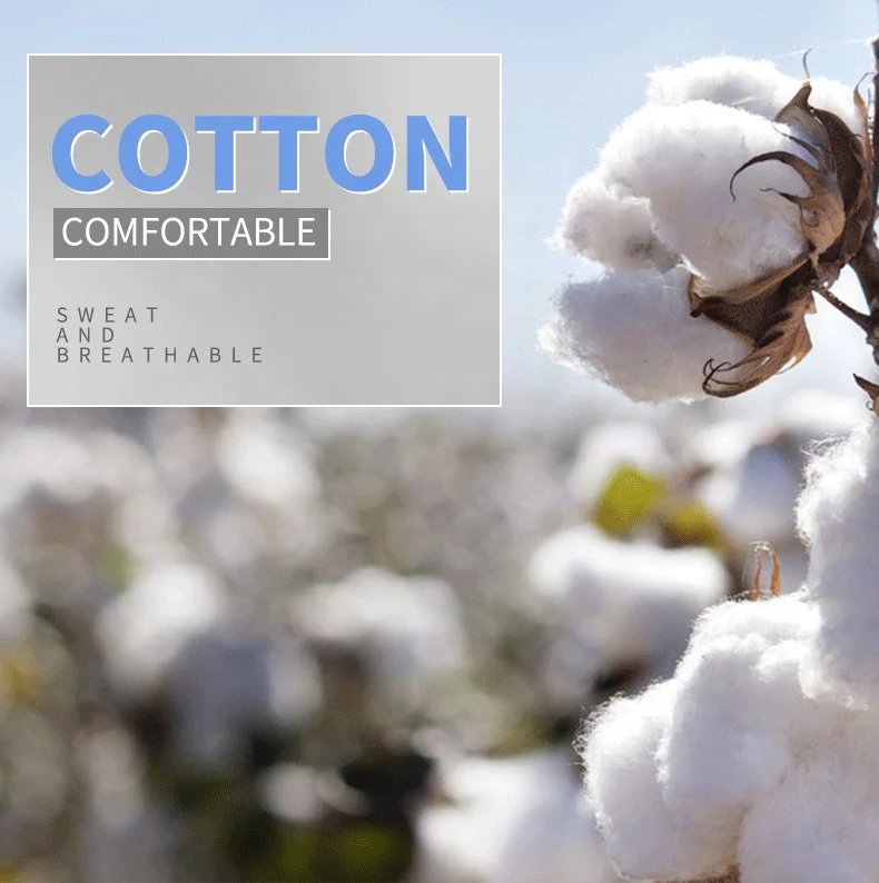 JL1010C Wholesale Plus Size Heavy Cotton t Shirt Long Sleeve Sport t Shirt Round Neck Plain t Shirt for Men