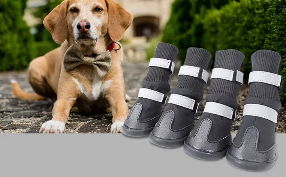Summer Dog Rain Shoes Waterproof Silicone Dog Rain Boots Pet Shoes